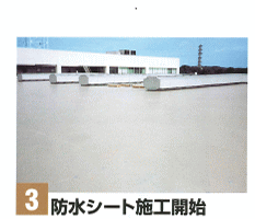 �{�H�菇�B