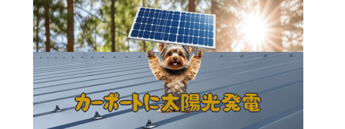 カーポートに太陽光とヨークシャー・テリア