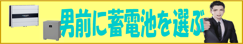 男前に蓄電池を選ぶ